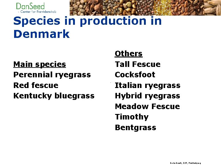 Species in production in Denmark Main species Perennial ryegrass Red fescue Kentucky bluegrass Others