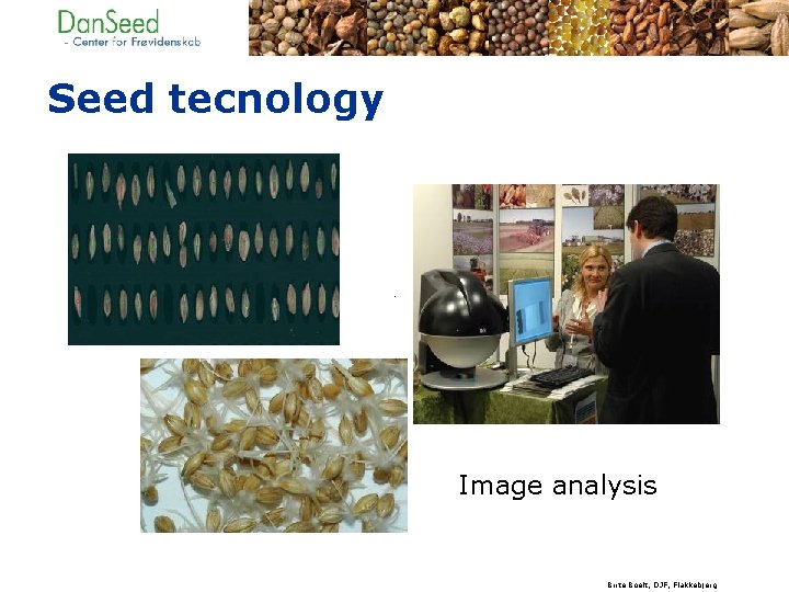 Seed tecnology Image analysis Birte Boelt, DJF, Flakkebjerg 