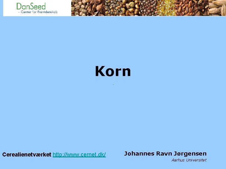 Korn Cerealienetværket http: //www. cernet. dk/ Johannes Ravn Jørgensen Aarhus Universitet 