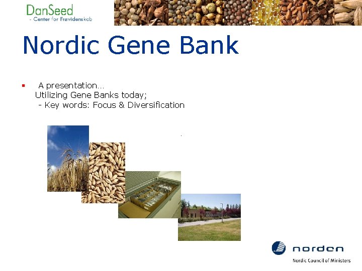 Nordic Gene Bank § A presentation… Utilizing Gene Banks today; - Key words: Focus