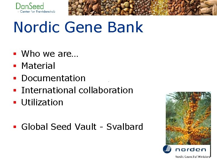 Nordic Gene Bank § § § Who we are… Material Documentation International collaboration Utilization