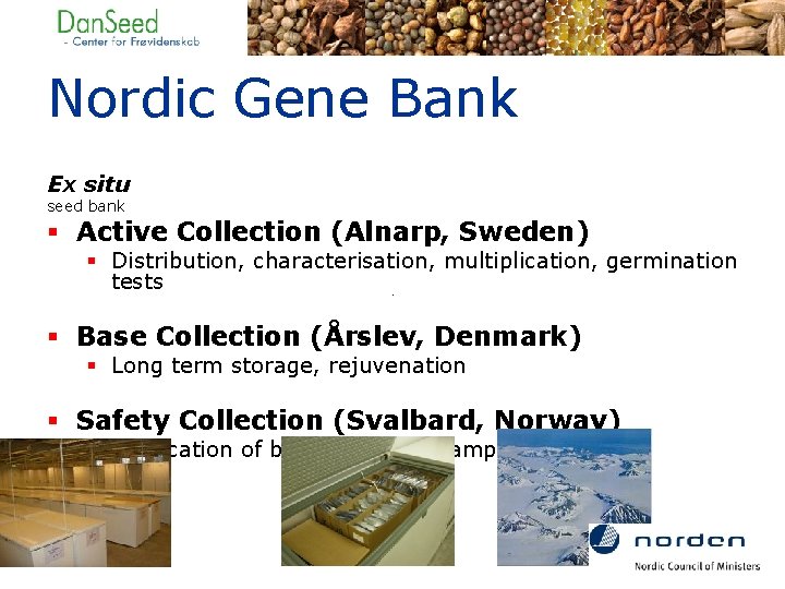 Nordic Gene Bank Ex situ seed bank § Active Collection (Alnarp, Sweden) § Distribution,