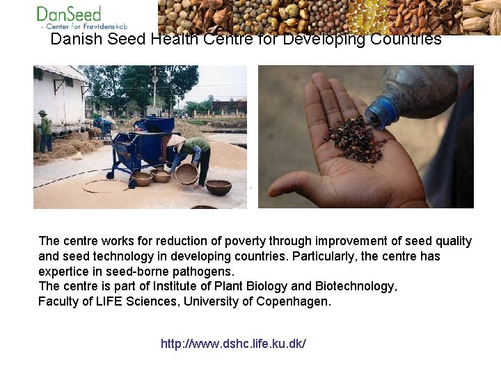 Danish Seed Health Centre for Developing Countries The centre works for reduction of poverty