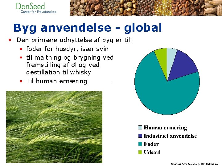 Byg anvendelse - global § Den primære udnyttelse af byg er til: § foder