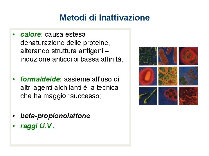 Metodi di Inattivazione • calore: causa estesa denaturazione delle proteine, alterando struttura antigeni =