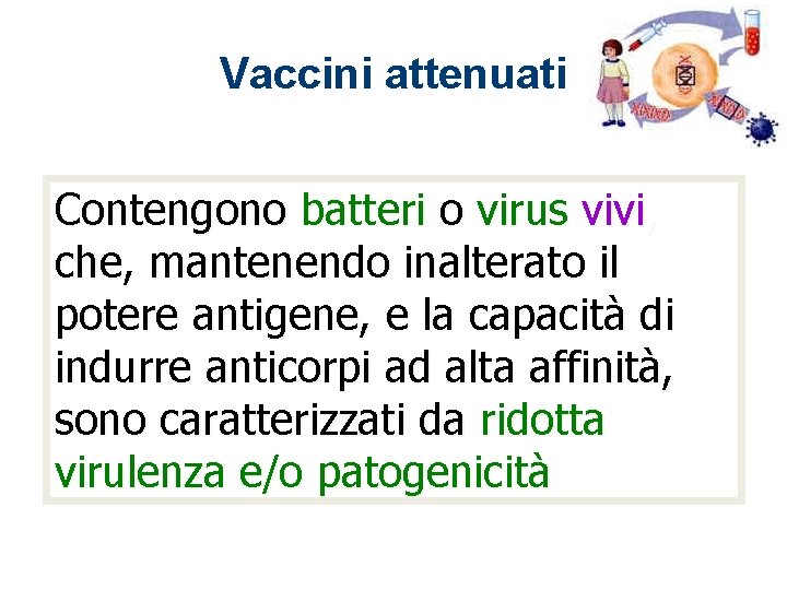 Vaccini attenuati Contengono batteri o virus vivi, che, mantenendo inalterato il potere antigene, e