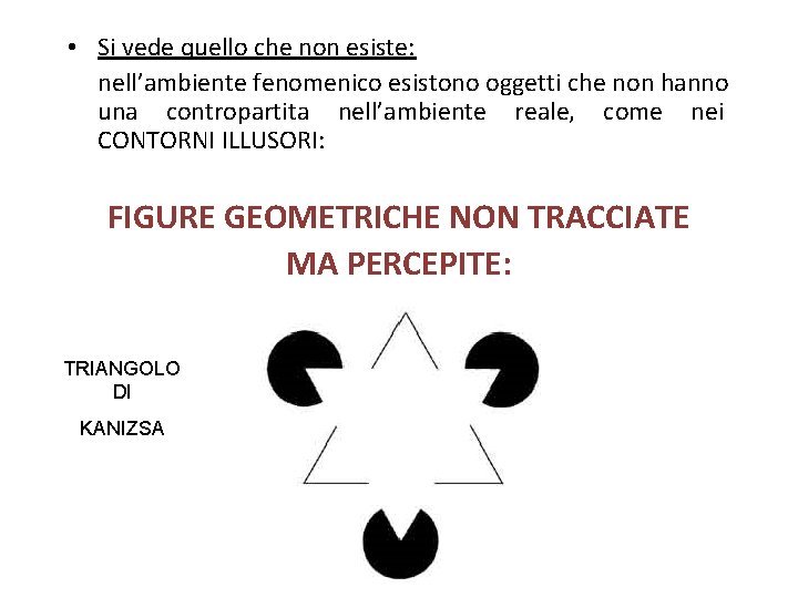  • Si vede quello che non esiste: nell’ambiente fenomenico esistono oggetti che non