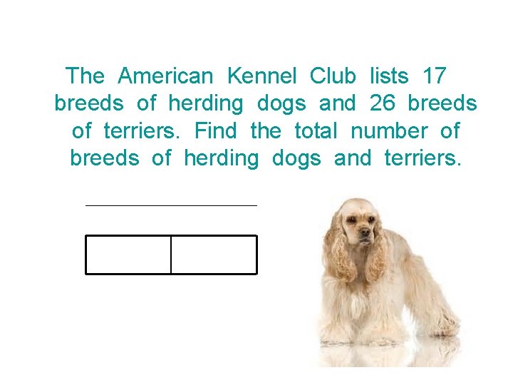 The American Kennel Club lists 17 breeds of herding dogs and 26 breeds of