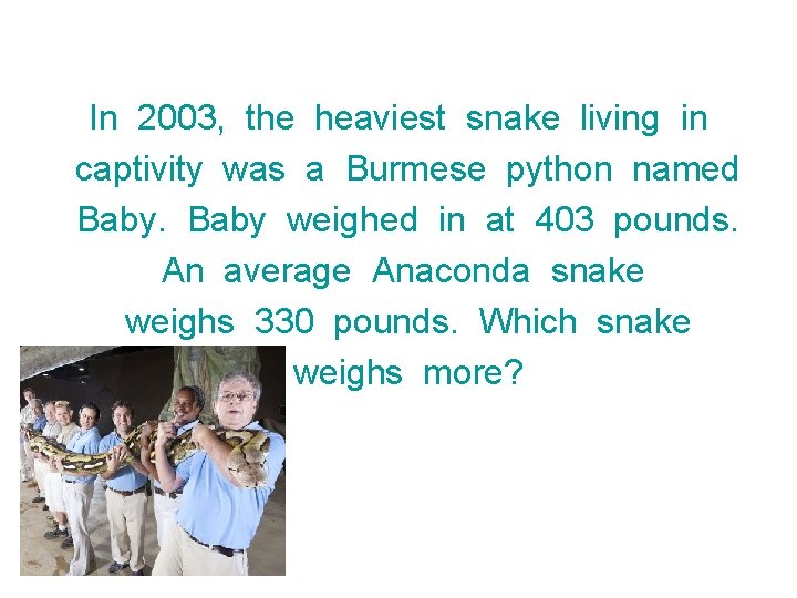 In 2003, the heaviest snake living in captivity was a Burmese python named Baby