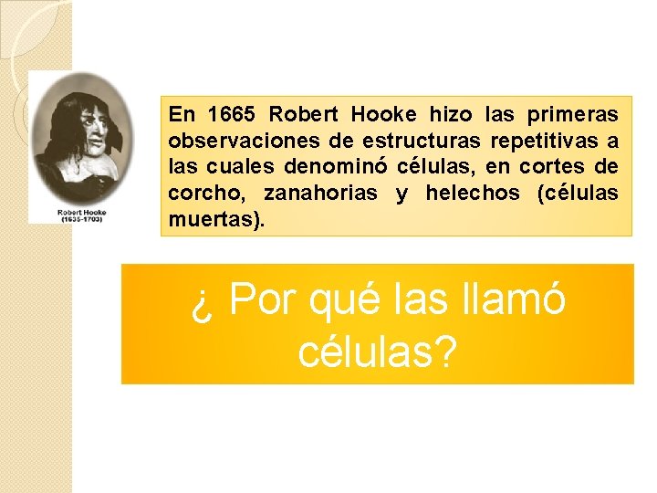 En 1665 Robert Hooke hizo las primeras observaciones de estructuras repetitivas a las cuales