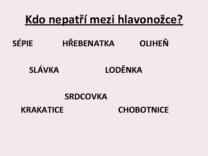 Kdo nepatří mezi hlavonožce? SÉPIE HŘEBENATKA SLÁVKA OLIHEŇ LODĚNKA SRDCOVKA KRAKATICE CHOBOTNICE 