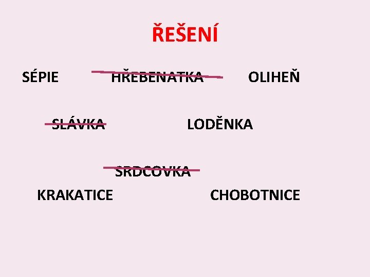 ŘEŠENÍ SÉPIE HŘEBENATKA SLÁVKA OLIHEŇ LODĚNKA SRDCOVKA KRAKATICE CHOBOTNICE 