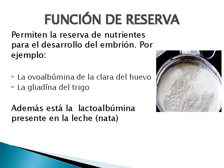 FUNCIÓN DE RESERVA Permiten la reserva de nutrientes para el desarrollo del embrión. Por