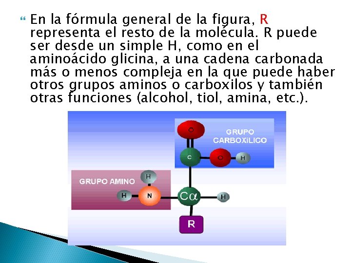  En la fórmula general de la figura, R representa el resto de la