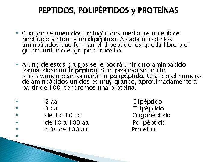PEPTIDOS, POLIPÉPTIDOS y PROTEÍNAS Cuando se unen dos aminoácidos mediante un enlace peptídico se
