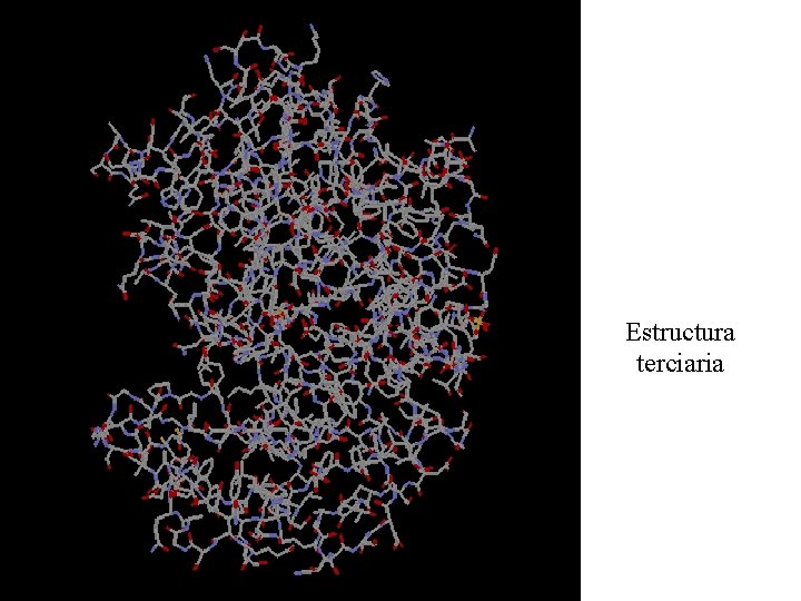 Estructura terciaria 