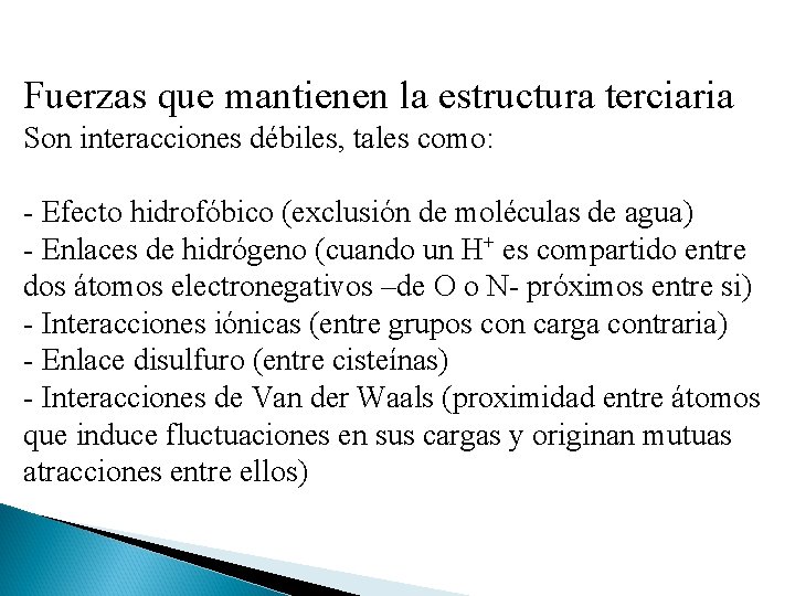 Fuerzas que mantienen la estructura terciaria Son interacciones débiles, tales como: - Efecto hidrofóbico