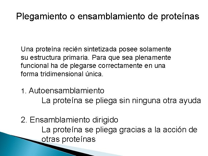 Plegamiento o ensamblamiento de proteínas Una proteína recién sintetizada posee solamente su estructura primaria.
