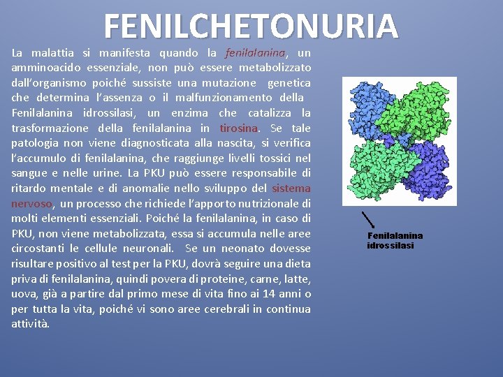 FENILCHETONURIA La malattia si manifesta quando la fenilalanina, un amminoacido essenziale, non può essere