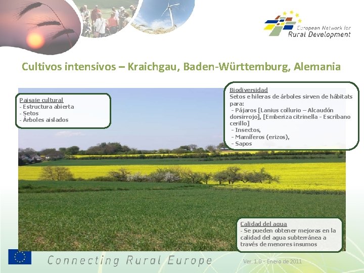 Cultivos intensivos – Kraichgau, Baden-Württemburg, Alemania Paisaje cultural - Estructura abierta - Setos -