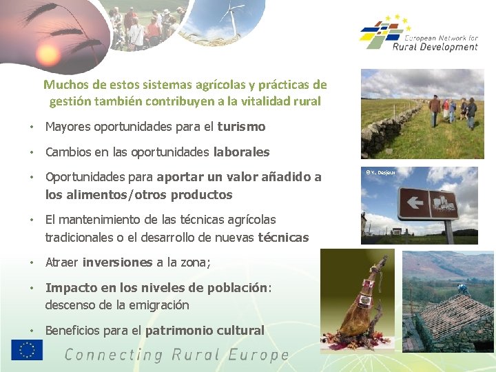 Muchos de estos sistemas agrícolas y prácticas de gestión también contribuyen a la vitalidad