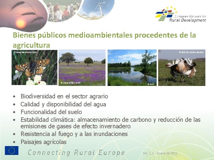 Bienes públicos medioambientales procedentes de la agricultura © Mike Hammett/CCW © Bird. Life (Stefan