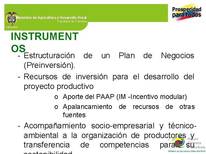 Ministerio de Agricultura y Desarrollo Rural República de Colombia INSTRUMENT OS - Estructuración de