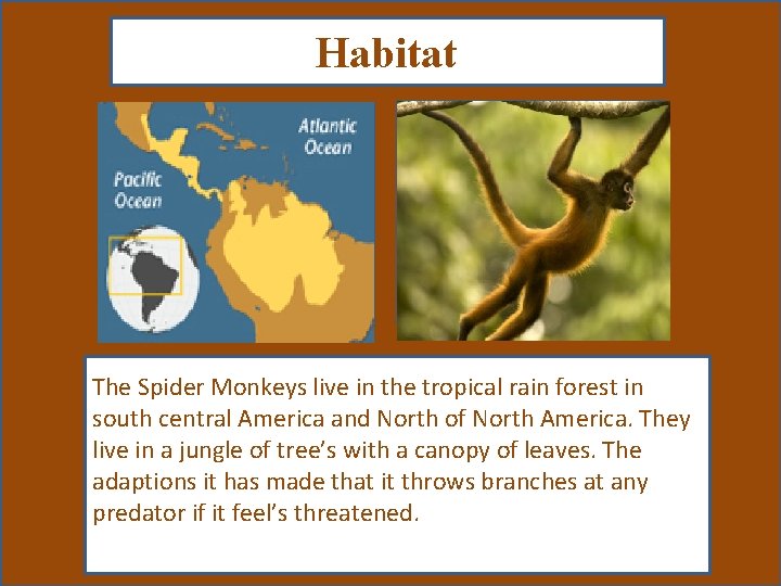 Habitat Map showing where your animal lives Picture showing your animal in its habitat.