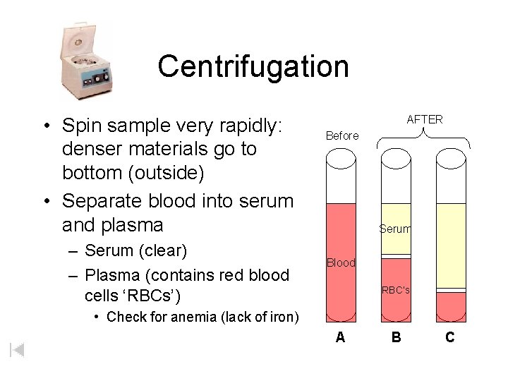 Centrifugation • Spin sample very rapidly: denser materials go to bottom (outside) • Separate