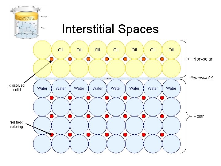 Interstitial Spaces Oil Oil Non-polar "immiscible" Layer dissolved solid Water Water Polar red food