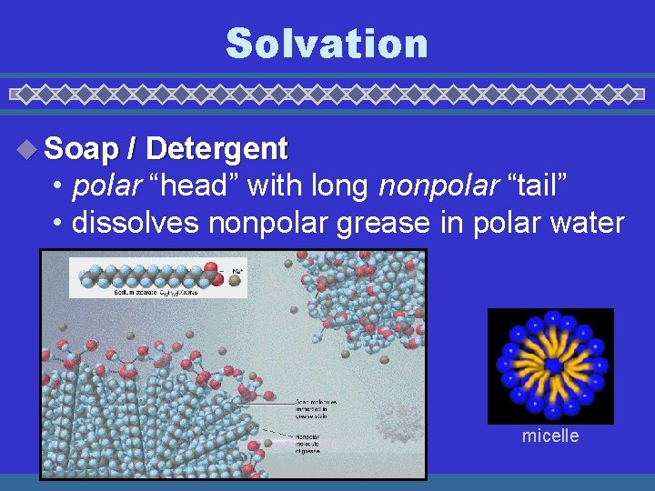 Solvation u Soap / Detergent • polar “head” with long nonpolar “tail” • dissolves