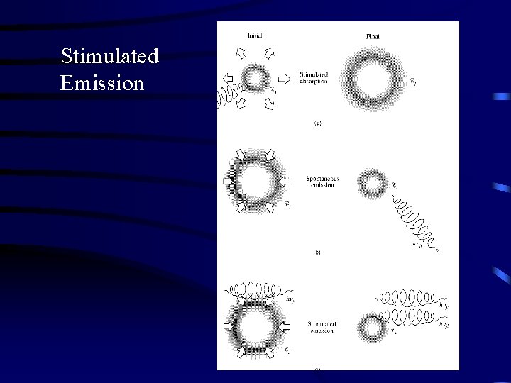 Stimulated Emission 