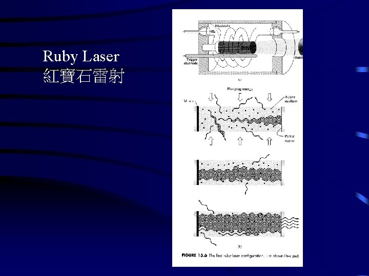Ruby Laser 紅寶石雷射 