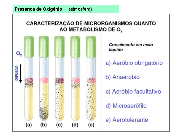 Presença de Oxigênio (atmosfera) 