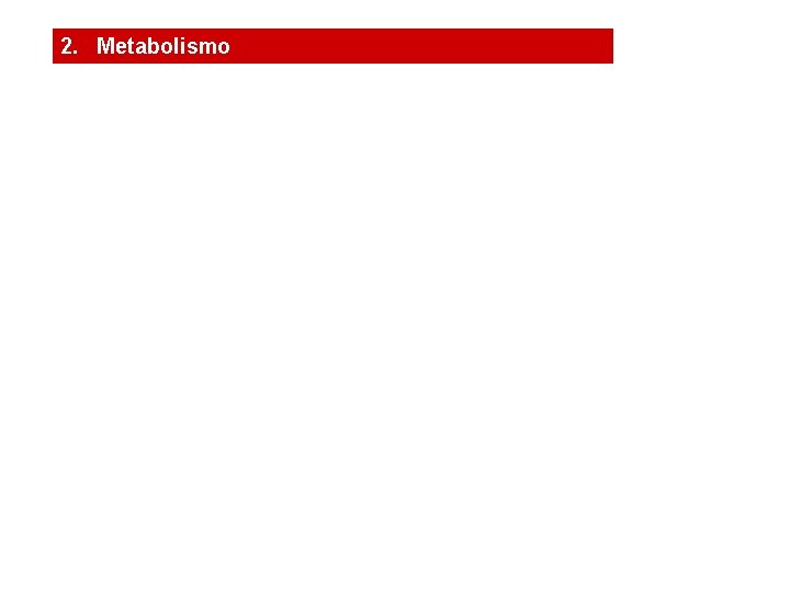 2. Metabolismo 