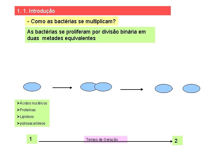 1. 1. Introdução - Como as bactérias se multiplicam? As bactérias se proliferam por