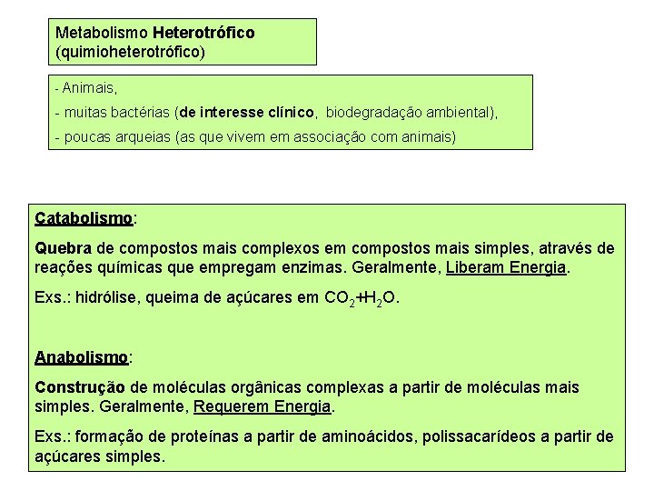 Metabolismo Heterotrófico (quimioheterotrófico) - Animais, - muitas bactérias (de interesse clínico, biodegradação ambiental), -