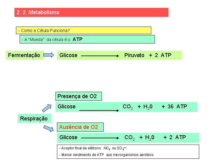 2. 2. Metabolismo - Como a Célula Funciona? - A “Moeda” da célula é