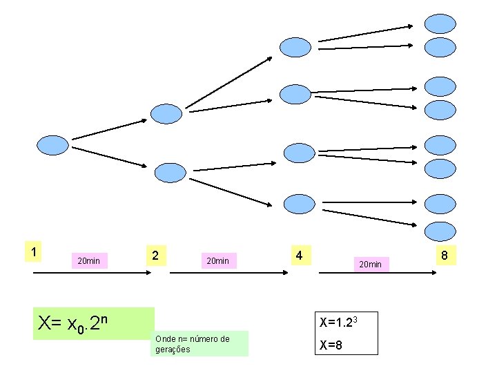 1 20 min X= x 0. 2 n 2 20 min 4 20 min