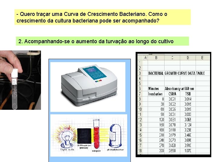 - Quero traçar uma Curva de Crescimento Bacteriano. Como o crescimento da cultura bacteriana