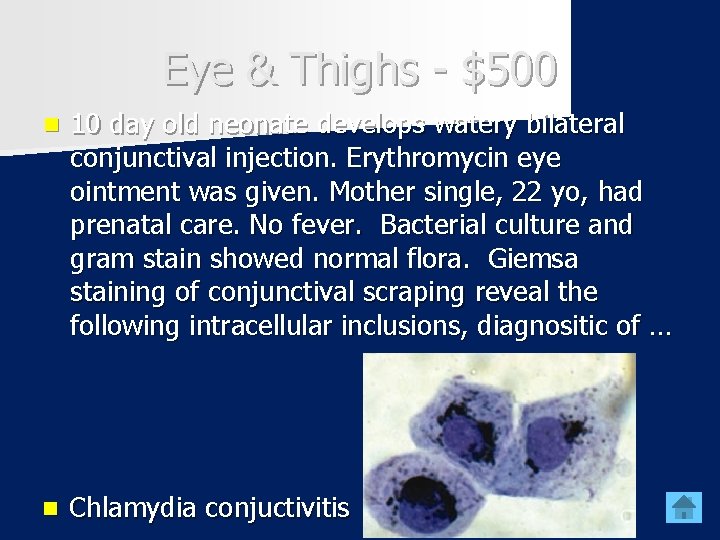 Eye & Thighs - $500 n 10 day old neonate develops watery bilateral conjunctival