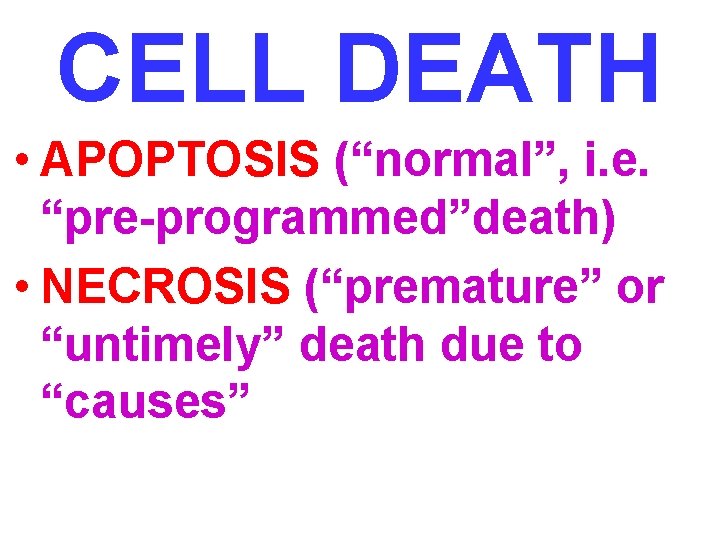 CELL DEATH • APOPTOSIS (“normal”, i. e. “pre-programmed”death) • NECROSIS (“premature” or “untimely” death