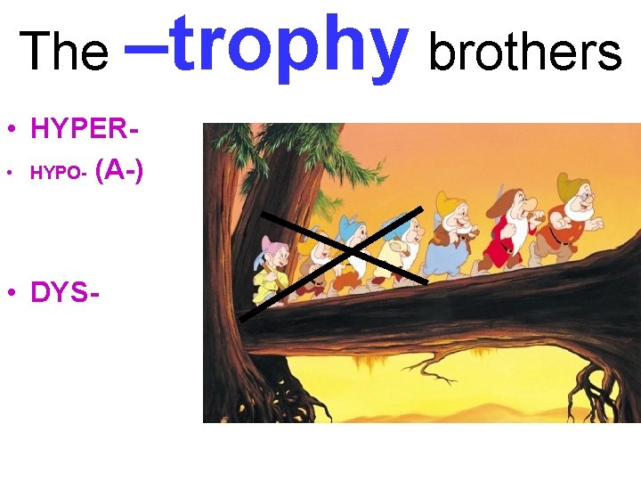 The –trophy brothers • HYPER • HYPO- (A-) • DYS- 