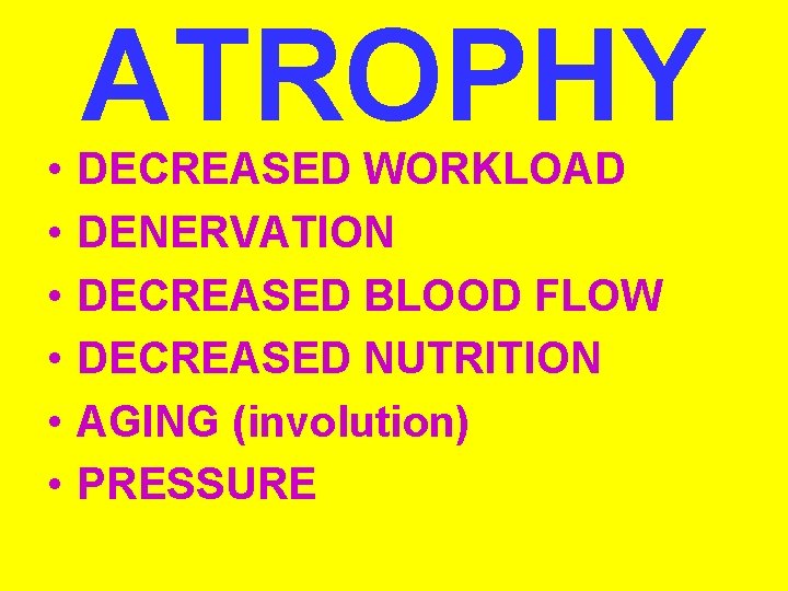  • • • ATROPHY DECREASED WORKLOAD DENERVATION DECREASED BLOOD FLOW DECREASED NUTRITION AGING