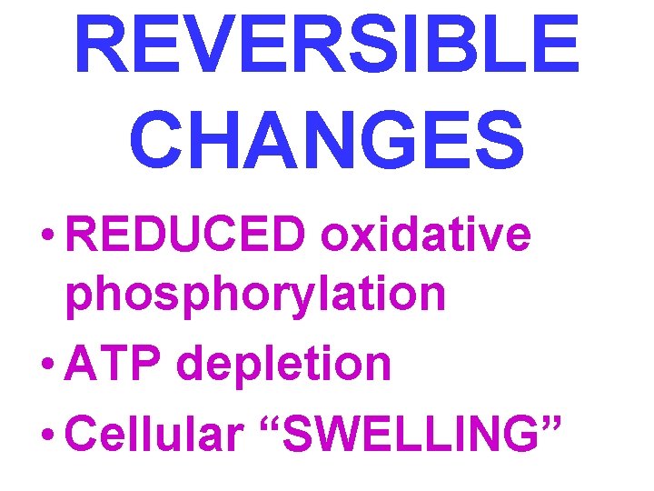 REVERSIBLE CHANGES • REDUCED oxidative phosphorylation • ATP depletion • Cellular “SWELLING” 