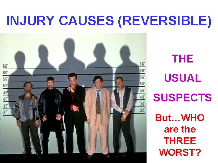 INJURY CAUSES (REVERSIBLE) THE USUAL SUSPECTS But…WHO are the THREE WORST? 