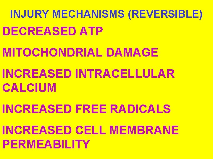INJURY MECHANISMS (REVERSIBLE) DECREASED ATP MITOCHONDRIAL DAMAGE INCREASED INTRACELLULAR CALCIUM INCREASED FREE RADICALS INCREASED