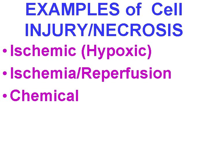 EXAMPLES of Cell INJURY/NECROSIS • Ischemic (Hypoxic) • Ischemia/Reperfusion • Chemical 
