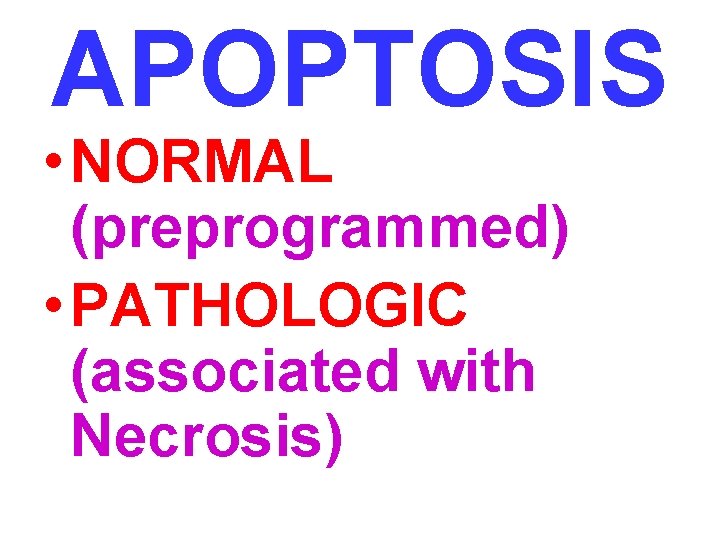 APOPTOSIS • NORMAL (preprogrammed) • PATHOLOGIC (associated with Necrosis) 