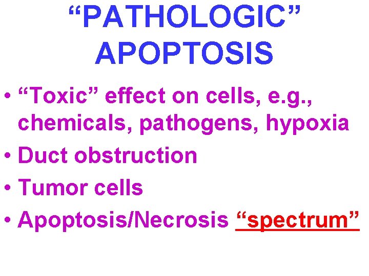 “PATHOLOGIC” APOPTOSIS • “Toxic” effect on cells, e. g. , chemicals, pathogens, hypoxia •